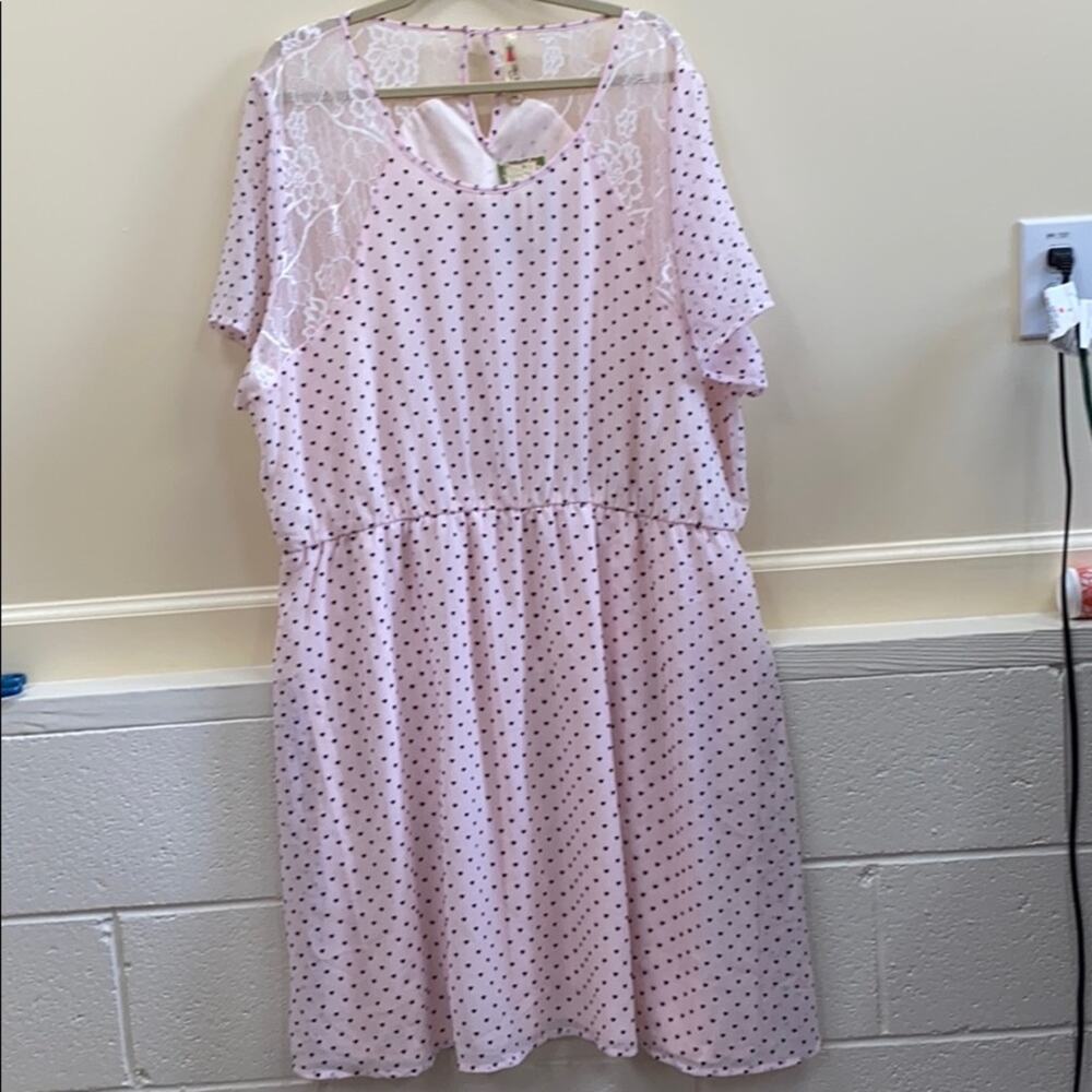 Alice Moon NWT 4X Pink with hearts dress